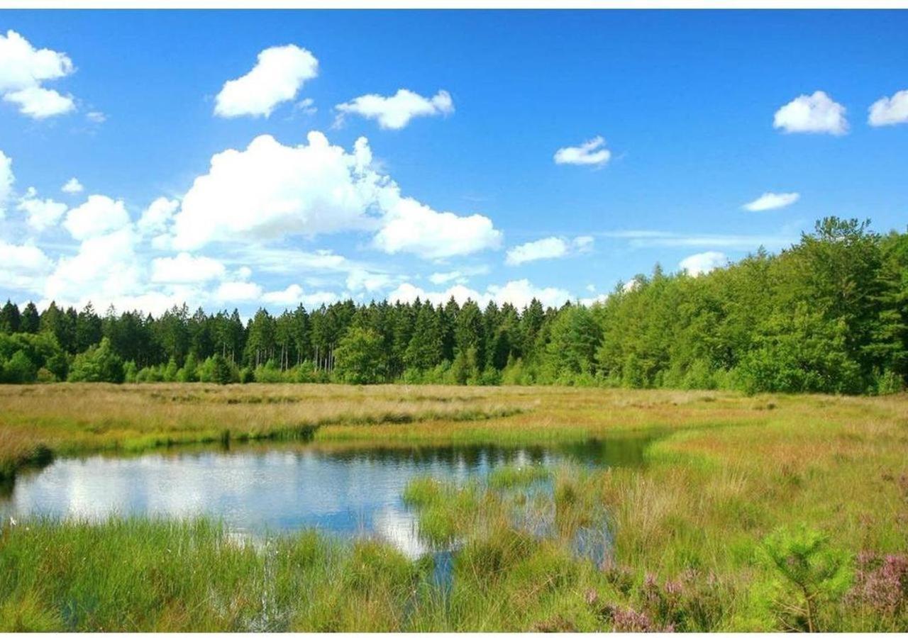 Comfortabel Chalet In Nationaal Park Wateren Εξωτερικό φωτογραφία